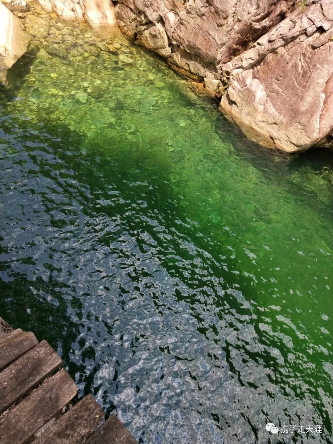 溪水浅则成滩,深则成潭,每到一处水潭,娃都要下去玩一会.