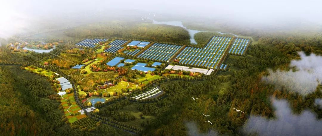 下一步,江山市将以打造全域旅游示范区,两山理论实践区,乡村振兴先行