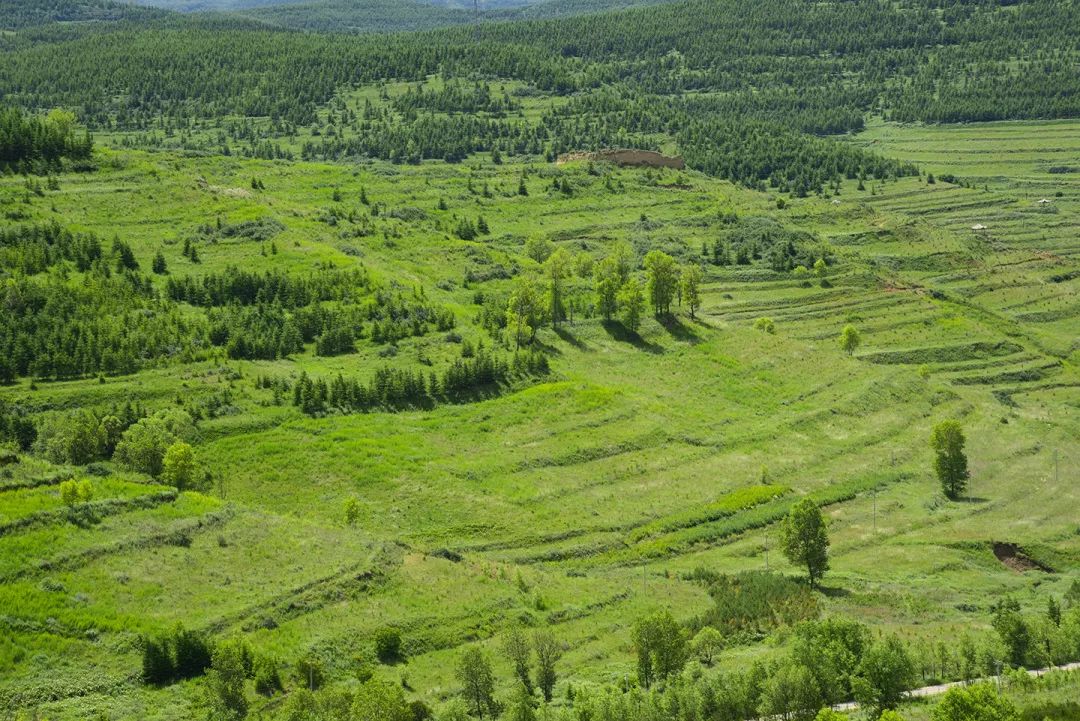 绿水青山就是金山银山一起见证退耕还林后的泾源和隆德