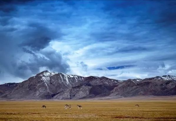 阿舰说图第176期历届中国摄影金像奖作品赏析十一