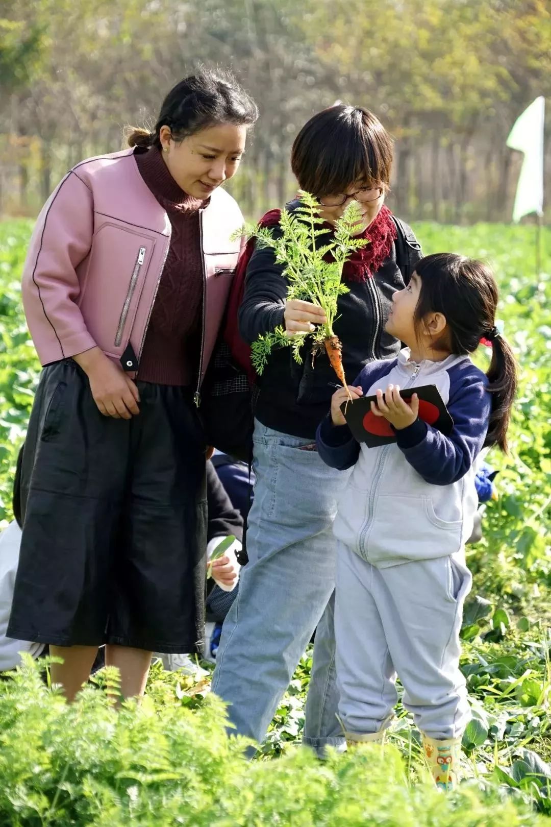 一个有诗意的蓝图,对此,乌镇镇党委副书记,镇长姚富强很有信心,他表示