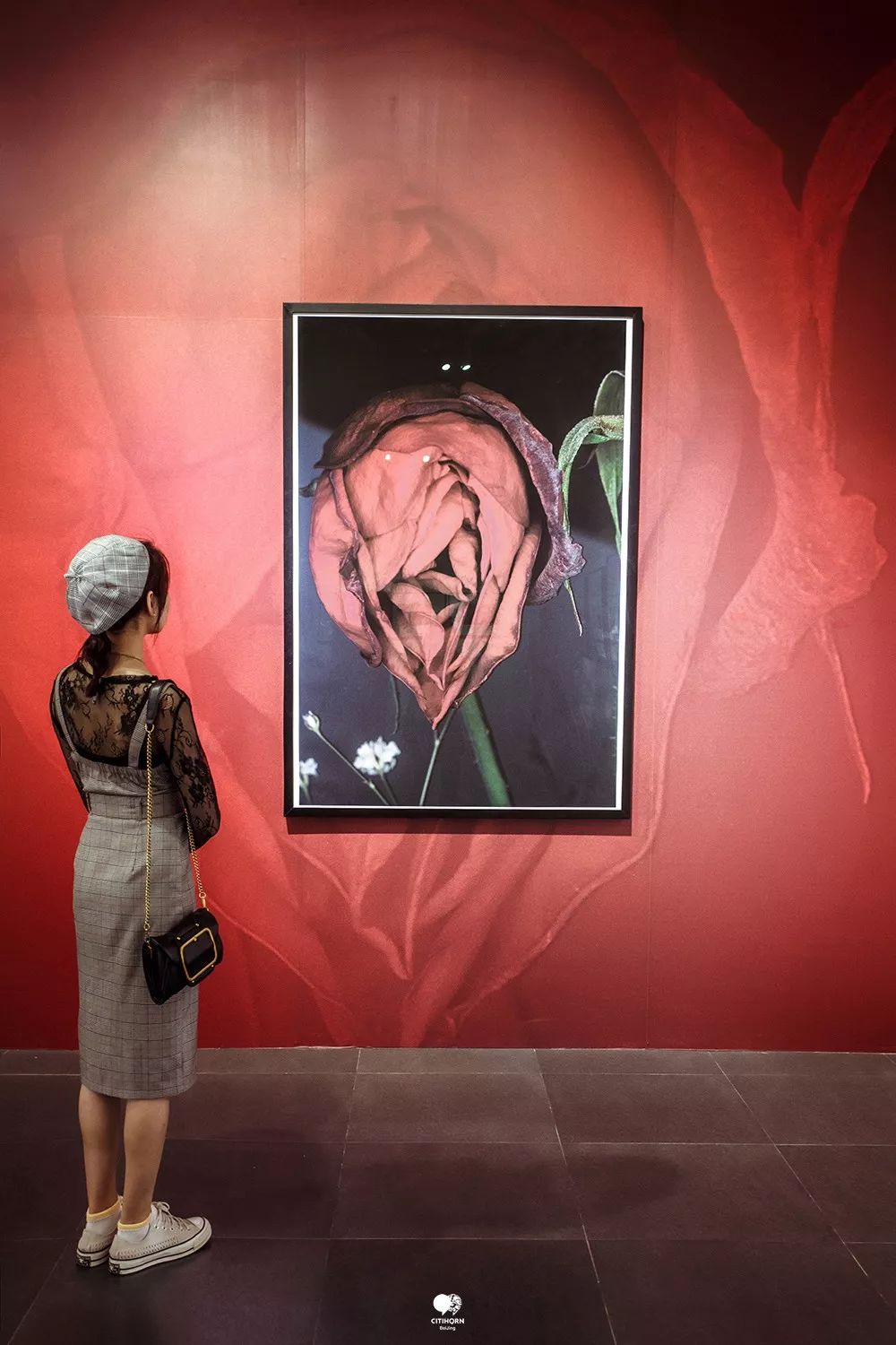 载着生,载着死,载着爱,这是荒木经惟的"花"样人生