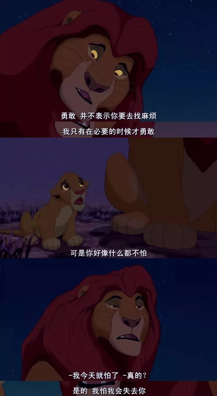 真实版《狮子王》:辛巴的好朋友竟然是天生的死对头?