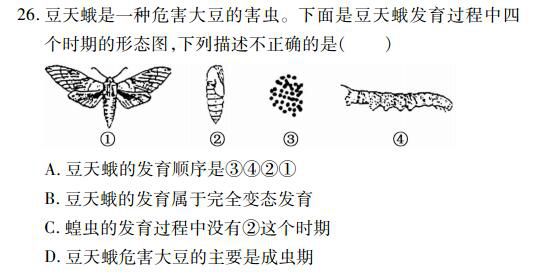 快来看押中率80以上