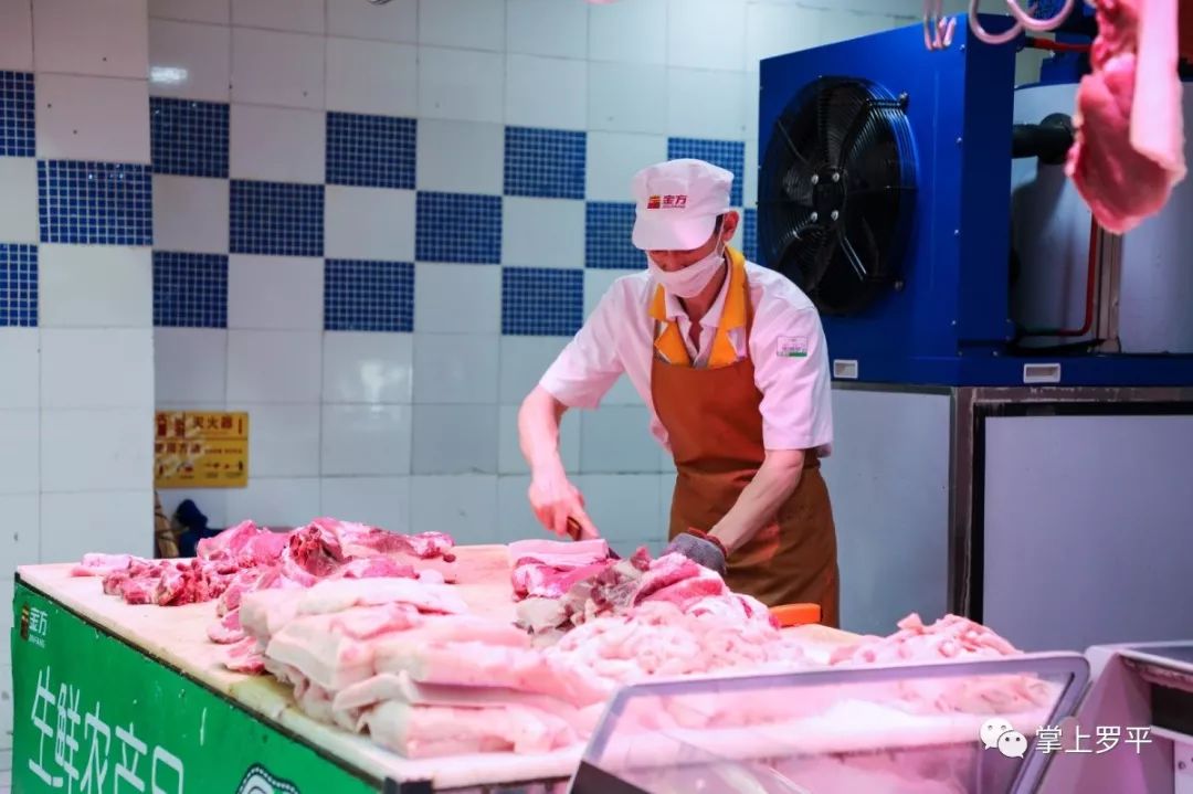 现宰猪肉
