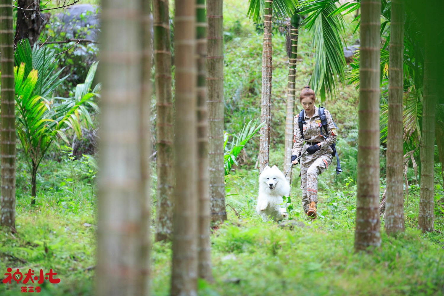 宋妍霏神犬小七3高燃进阶硬核输出爱与温暖
