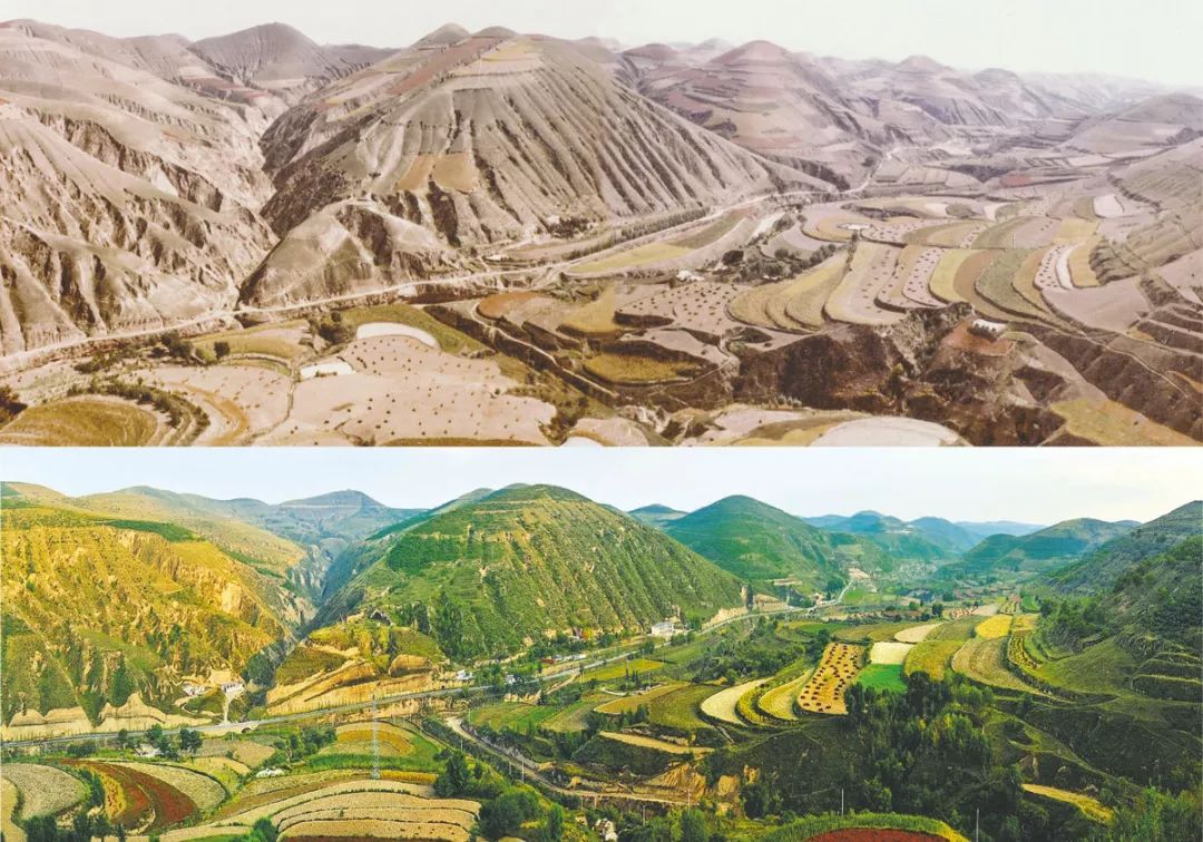 延安脱贫攻坚生态扶贫孕育秀美山川