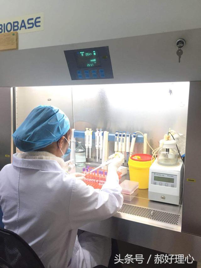 图8:药师正在开展基因检测项目治疗药物监测(therapeutic drug
