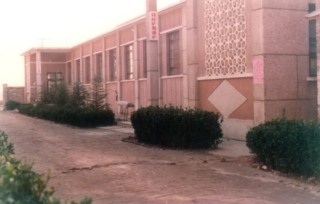 回眸峰峰煤矿70年丨艰难的改变三