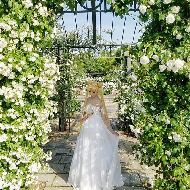 月野兔婚纱cos,女神的婚礼,我们怎么可以错过!