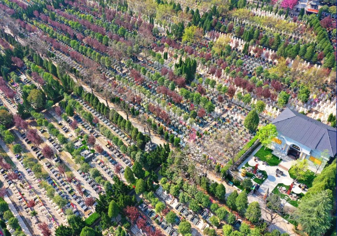 善心善行回报社会西安凤栖山人文纪念园惠民殡葬工作纪实