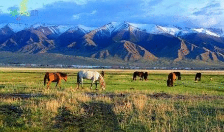 和赵玲相比,来自广西的摄影爱好者陈星华更迷恋哈密的多彩文化.