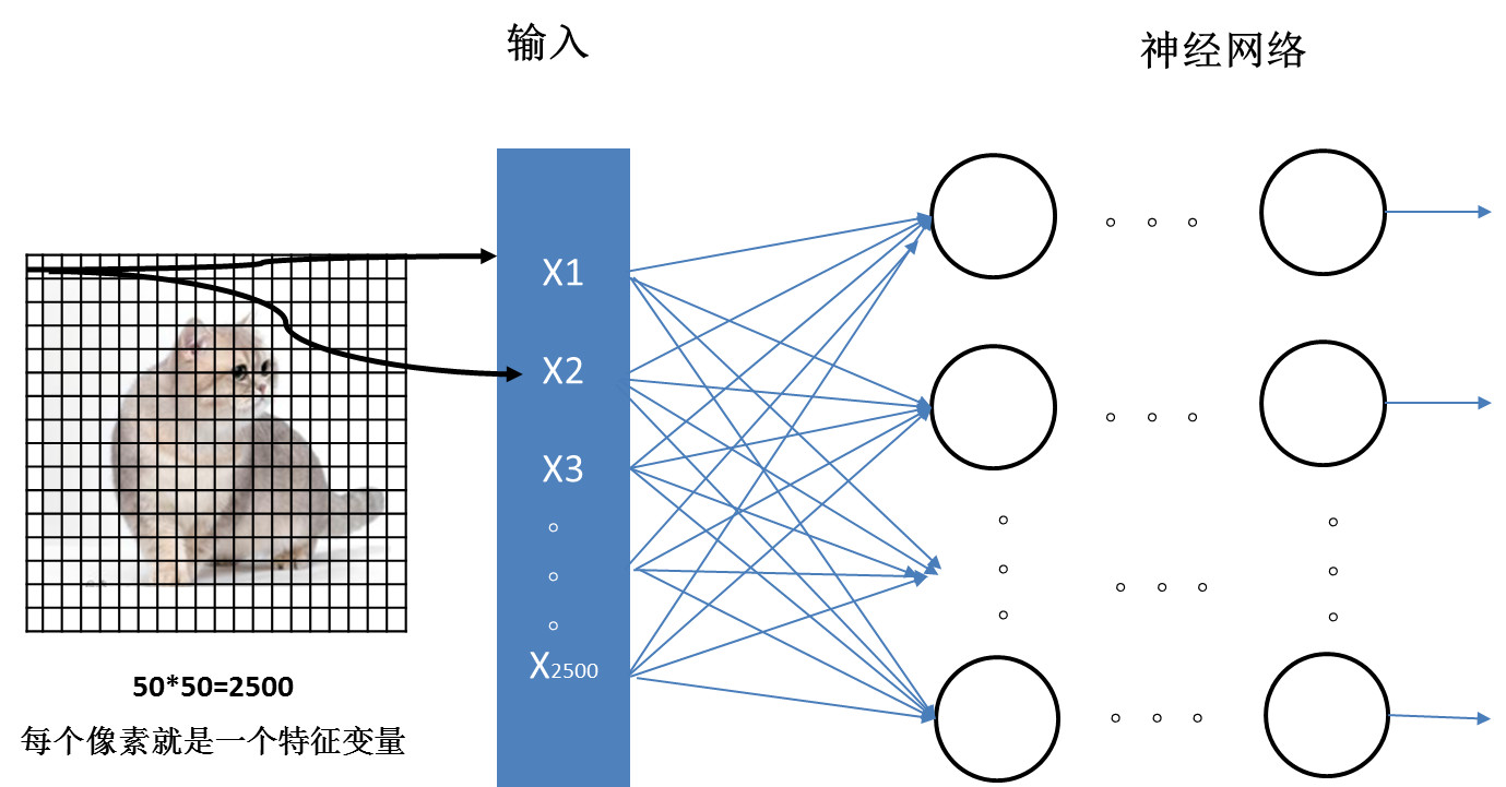 ai入門卷積神經網絡