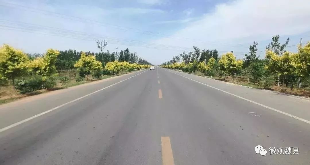 常态创城文明就在脚下魏县创城因你们更美丽