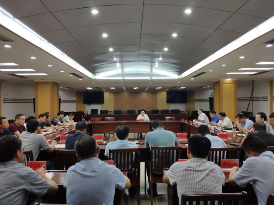 会议由县政府副县长唐曾胜主持,各镇和县直相关单位及spv项目公司负责