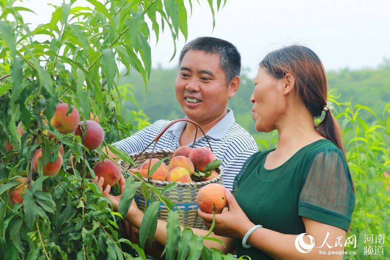 人民網鄭州7月18日電(王佩)7月18日,在河南光山縣馬畈鎮太平村瑞全