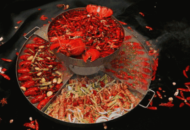 食物越多样,就会吃的越多 山珍海味,满汉全席,尽在眼底,大概所有人