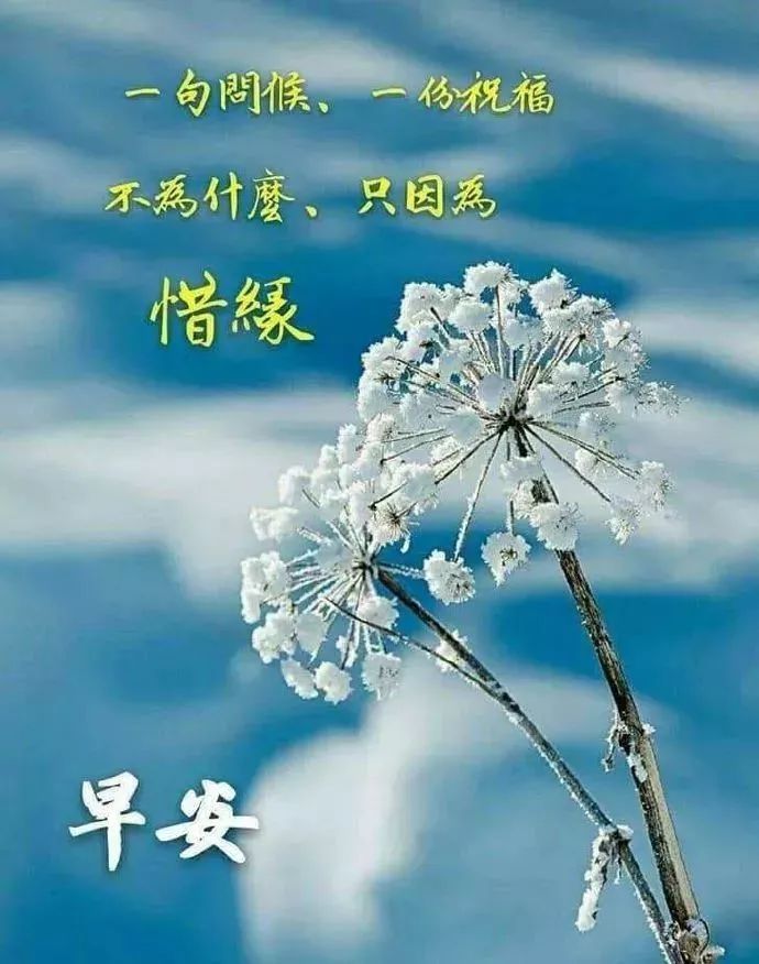 早上好祝福语和图片适合群发的早上好表情简单句子2019