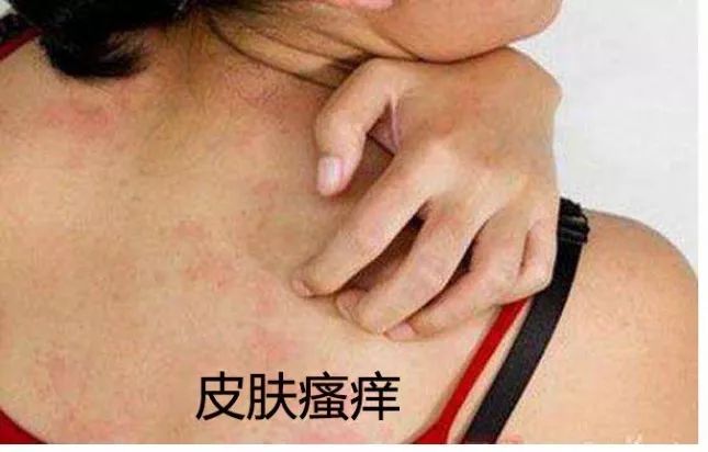 风靡日本的弧形浴刷,轻轻一搓10年污垢刷出来_皮肤