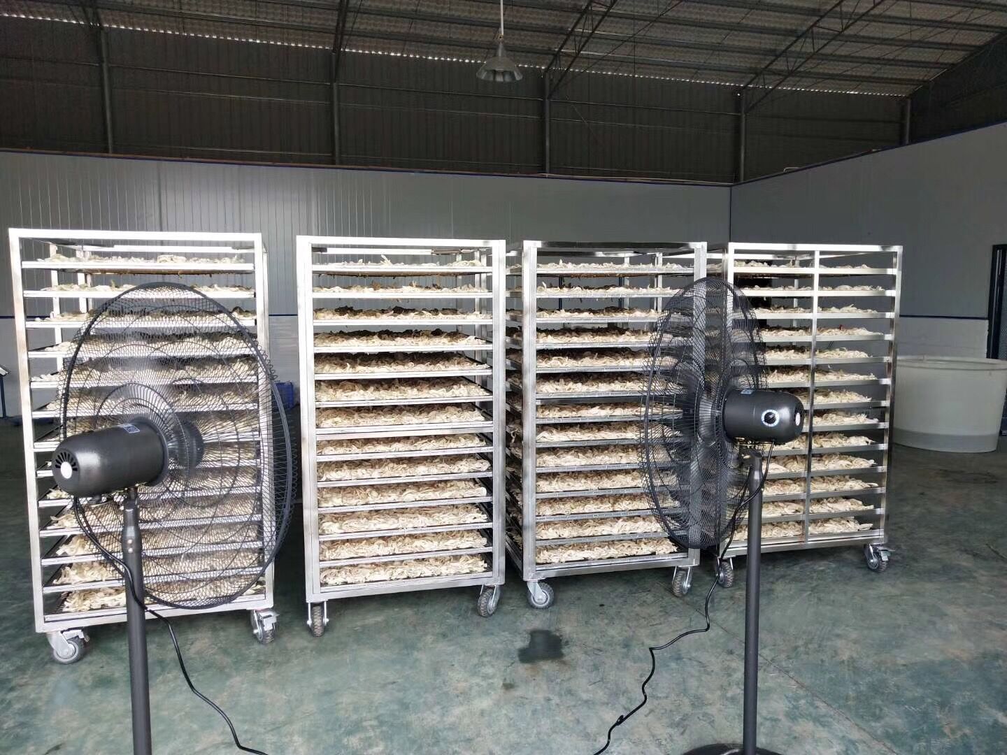 蔬菜华丽丽转身迈入高端商场原来蔬菜烘干机这么好用