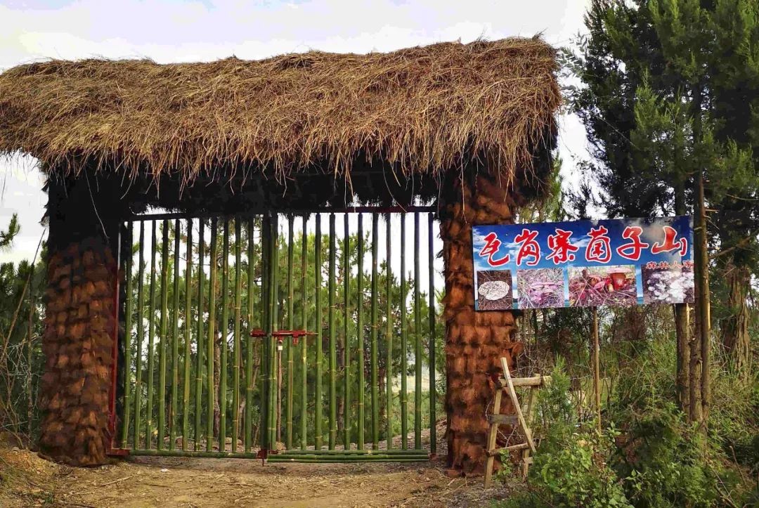 森林驿站山里人家再不来就要等明年了