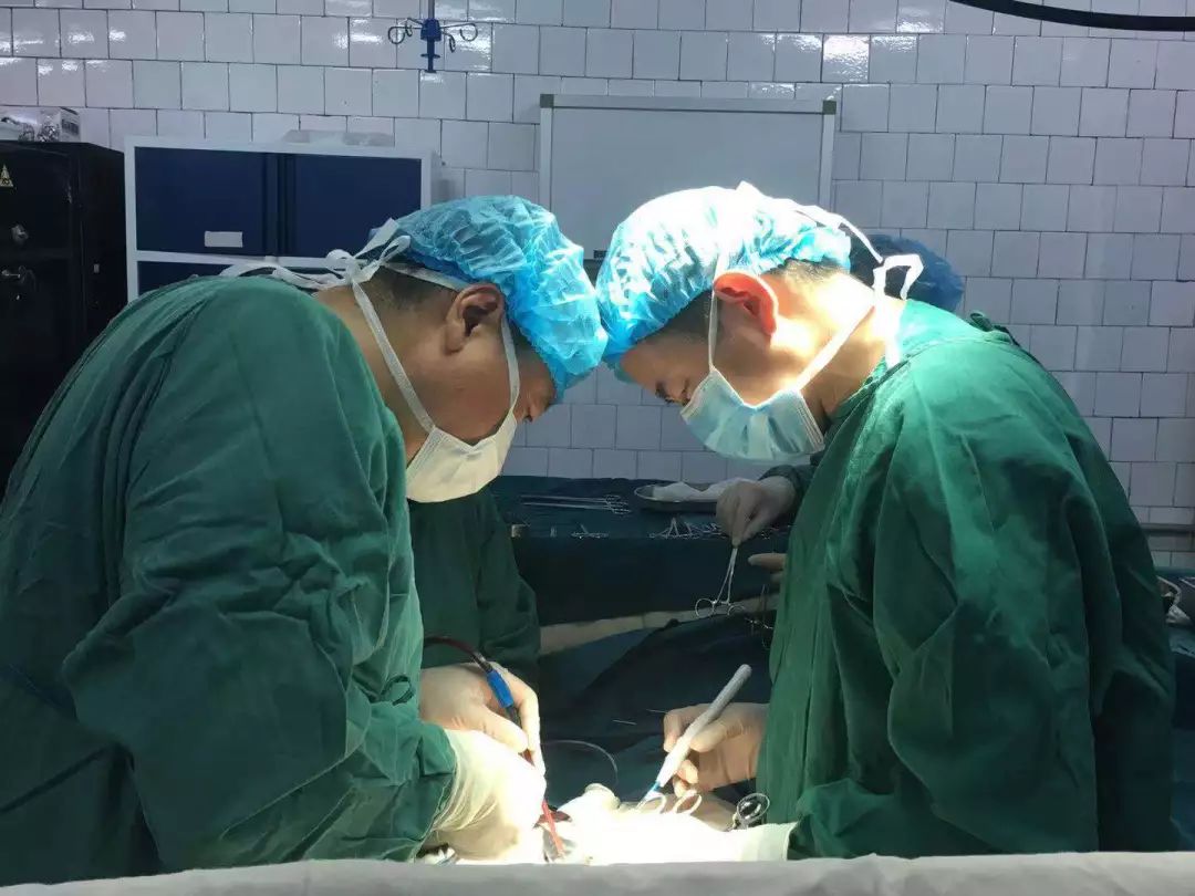 总医院(301医院)门诊部原党委书记王驰,妇产科赵恩峰,消化内科卢忠生