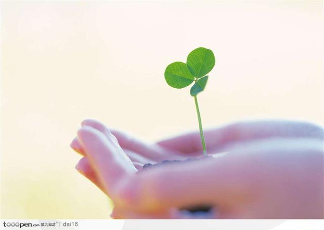 一抹充满希望的嫩绿鲜活了整个世界