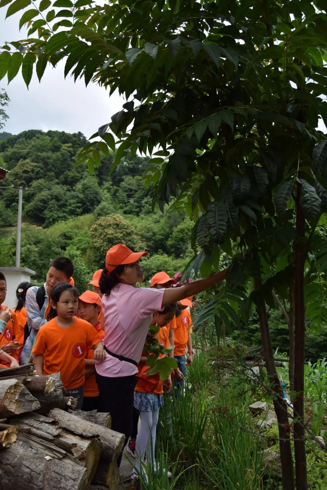 影像| 小木岭下一次别开生面的研学旅行