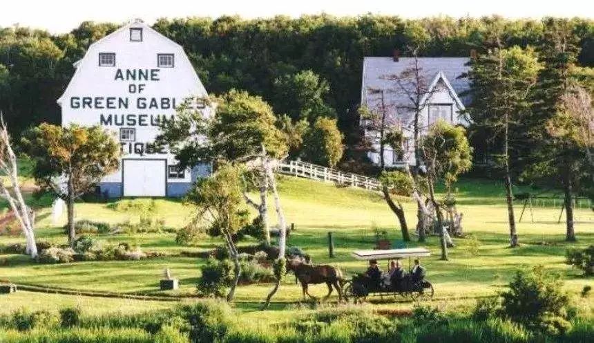 绿山墙农舍在读者的鼓励和支持下,露西认真地一本一本地把安妮的故事