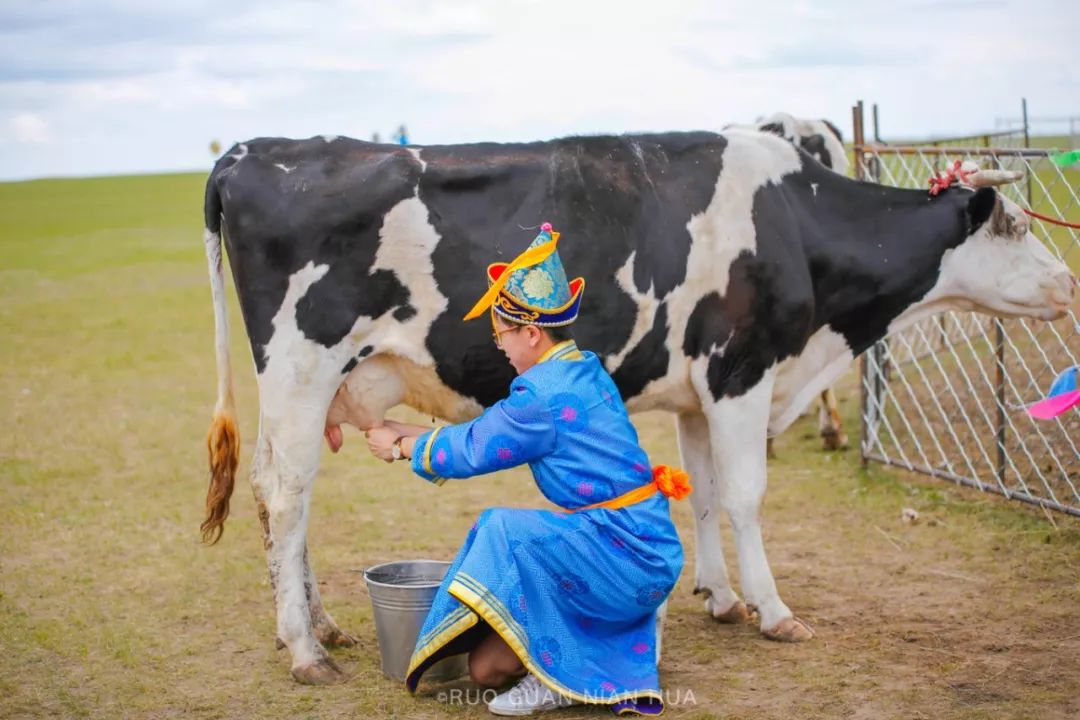 【草原梦】呼伦贝尔,许你一个最美的夏天_蒙古