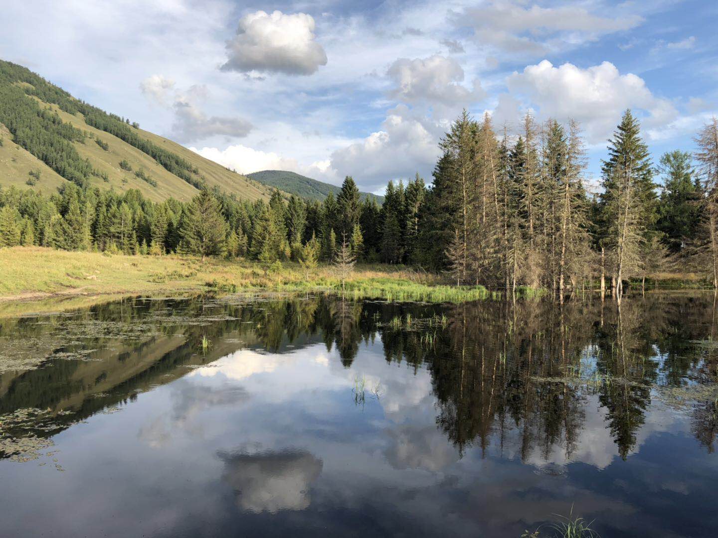新疆美景(未p图哦~)