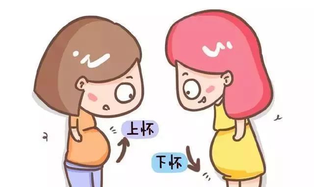 上怀是女下怀是男科学的说法在这里