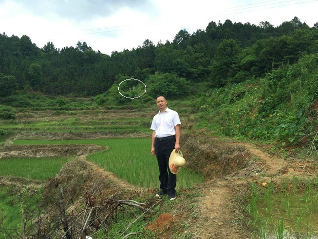 李双林实地寻龙图片