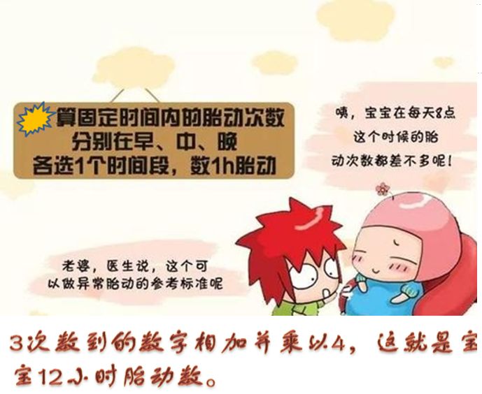 专业解读|母婴健康素养第四十七条-如何正确数胎动?_胎儿