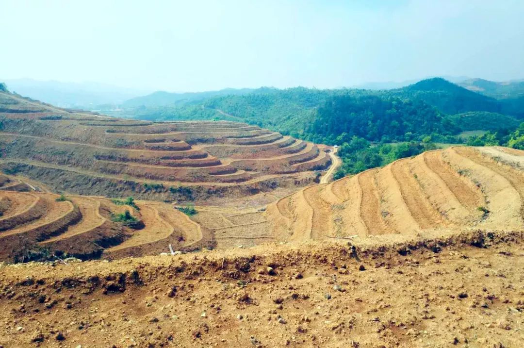 土地开发荒山变良田土地流转群众得实惠