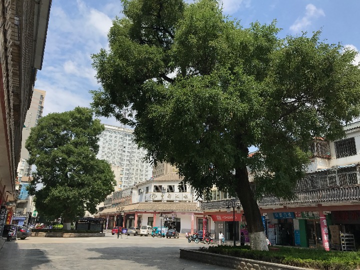 新华社兰州7月18日电(记者朱国圣 程楠)家住甘肃省天水市的王沐芸还