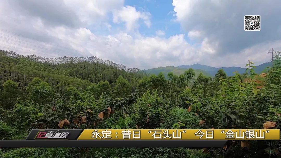 永定昔日"石头山,今日"金山银山"