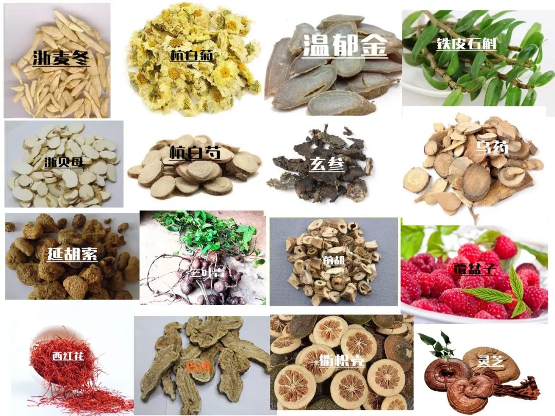 你们会分类吗?十六种浙江地道药材在下面,"老"浙八味?"新"浙八味?
