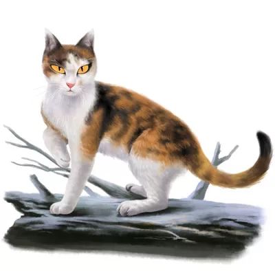 编辑说|培养阅读习惯,提高写作技巧,关照内心成长,读这套书就够了_拉