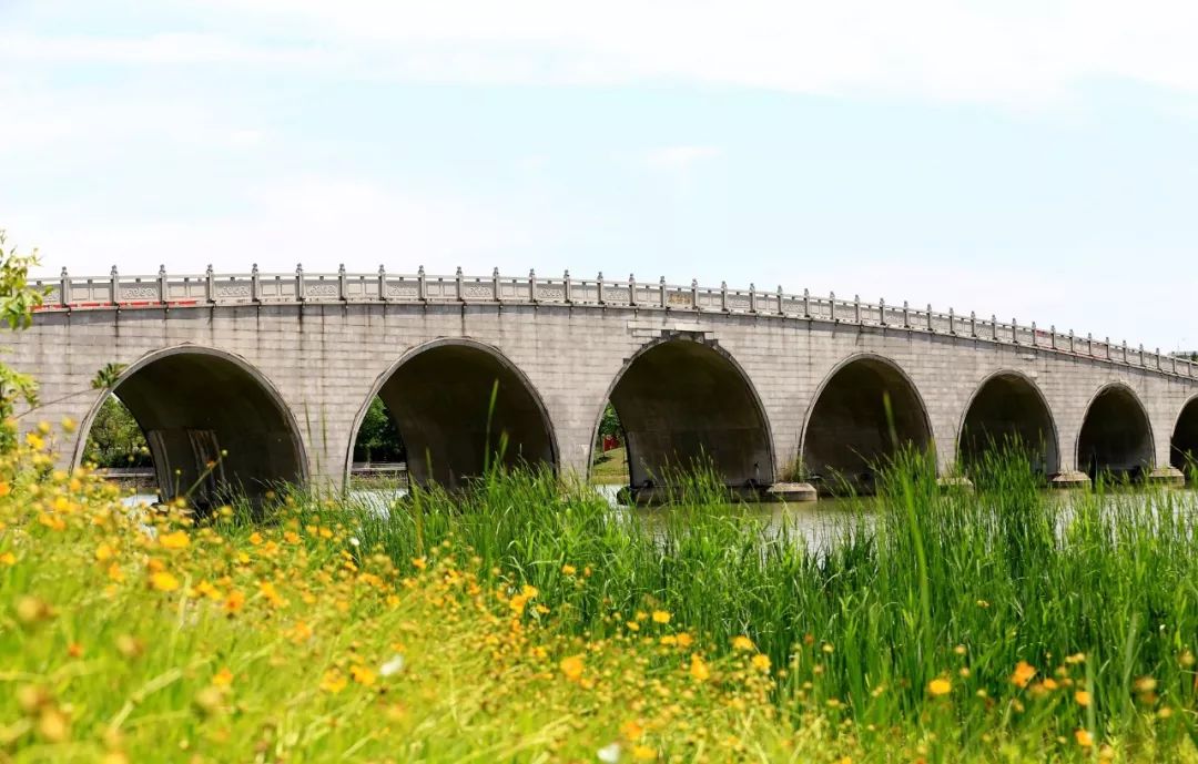 无锡市委常委,江阴市委书记陈金虎调研临港开发区利港街园_建设