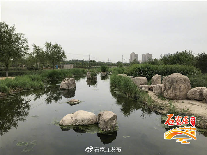 石家莊環城水系全面提升改造翠屏溼地公園等6座公園將煥然一新