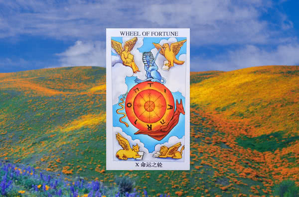 【塔罗牌c:命运之轮】这张牌是说你们的感情即将迎来转折,很可能是