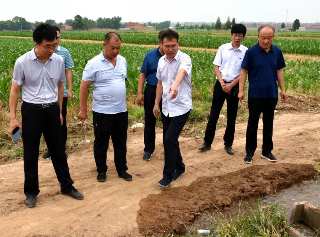 刘浩在赵康镇调研文物遗址保护及抗旱保丰收工作