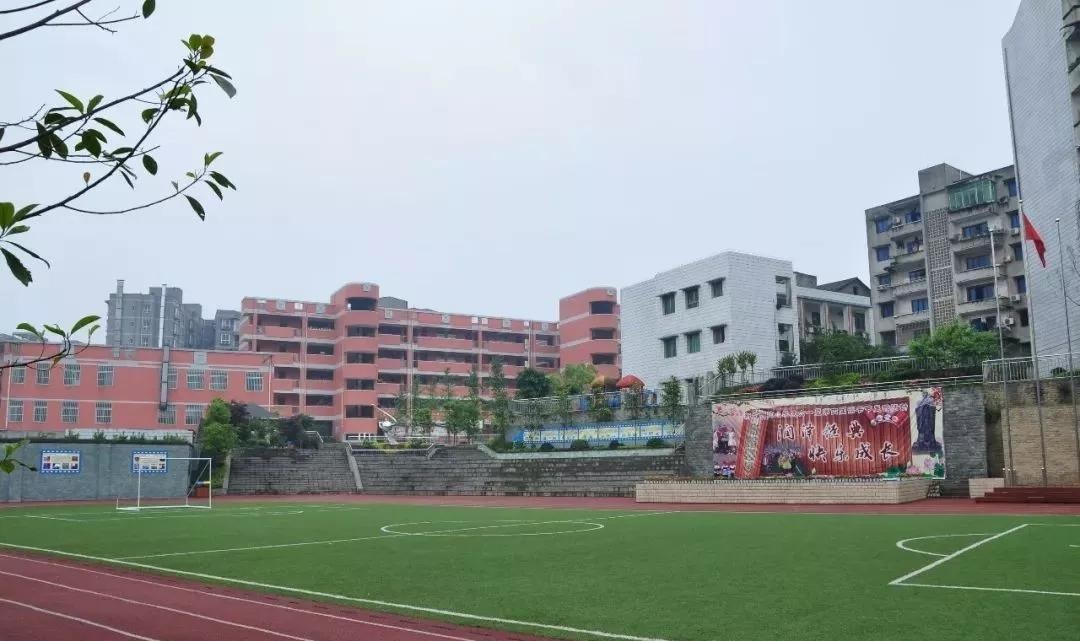 重庆市沙坪坝实验中学图片