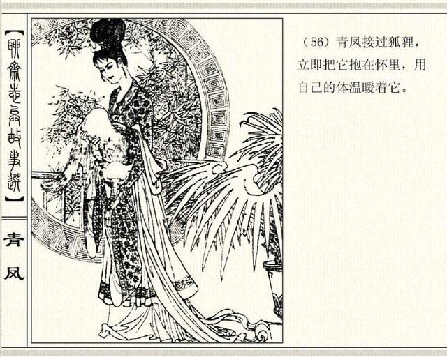 五万部经典连环画库珍藏版聊斋志异02青凤