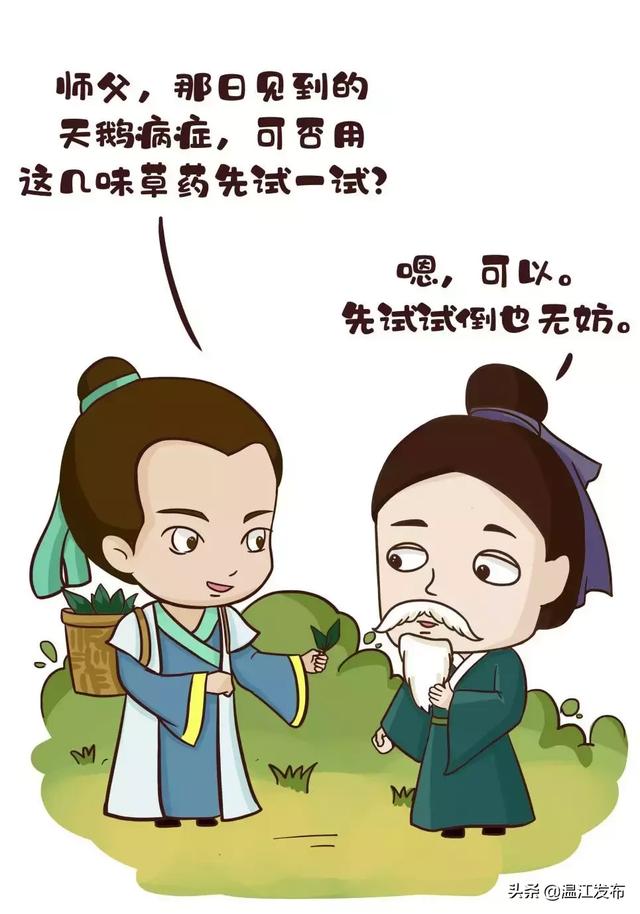 温江故事孙思邈在温江发现川芎
