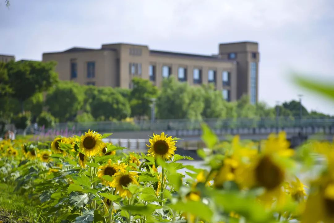 假期宝典 | 上海电机学院2019年暑假校园生活指南