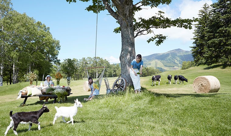 【20个日本农场案例】十胜千年之森-白色恋人公园-星野tomamu(5)