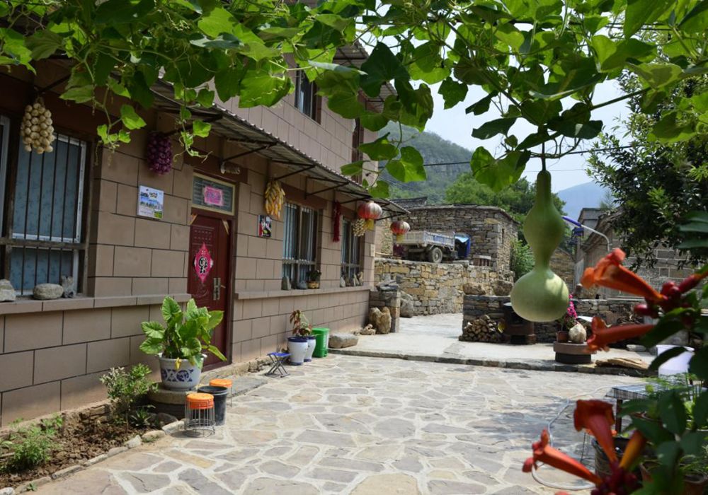 共建美丽庭院共享美好生活河南美丽庭院秀起来如诗如画让人醉一