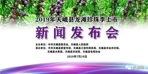 新闻发布会2019年天峨县龙滩珍珠李上市新闻发布会将于7月19日上午
